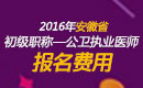 2023年安徽公卫执业医师职称考试报名费用