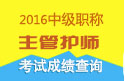 2023年四川主管护师资格职称考试成绩查询