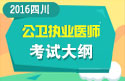 2023年四川公卫执业医师职称考试大纲