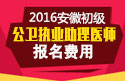 2023年安徽公卫执业助理医师职称考试报名费用