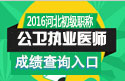 2023年河北公卫执业医师职称考试成绩查询