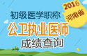 2023年河南公卫执业医师职称考试成绩查询