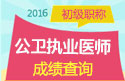 2023年山东公卫执业医师职称考试成绩查询网站