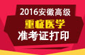 2023年安徽医学高级职称（重症医学）准考证打印