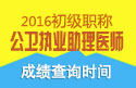2023年安徽公卫执业助理医师职称考试成绩查询网站