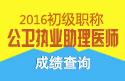 2023年北京公卫执业助理医师职称考试成绩查询网站