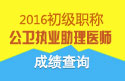 2023年河北公卫执业助理医师职称考试成绩查询网站