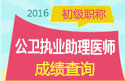 2023年江苏公卫执业助理医师职称考试成绩查询
