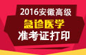 2023年安徽医学高级职称（急诊医学）准考证打印