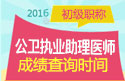 2023年上海公卫执业助理医师职称考试成绩查询
