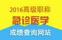 2023年安徽医学高级职称（急诊医学）成绩查询网站