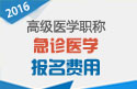 2023年北京医学高级职称（急诊医学）报名费用