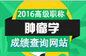 2023年北京医学高级职称（肿瘤学）成绩查询网站