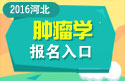 2023年河北医学高级职称（肿瘤学）报名入口