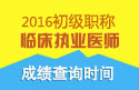 2023年北京临床执业医师职称考试成绩查询