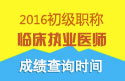 2023年河南临床执业医师职称考试成绩查询