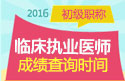 2023年上海临床执业医师职称考试成绩查询