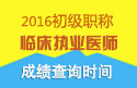 2023年浙江临床执业医师职称考试成绩查询