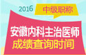 2023年安徽内科主治医师资格职称考试成绩查询