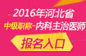2023年河北内科主治医师职称考试报名入口