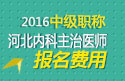 2023年河北内科主治医师职称考试报名费用