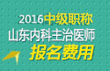 2023年山东内科主治医师职称考试报名费用