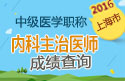 2023年上海内科主治医师资格职称考试成绩查询