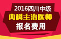 2023年四川内科主治医师职称考试报名费用
