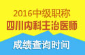 2023年四川内科主治医师资格职称考试成绩查询