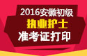 2023年安徽执业护士职称考试准考证打印