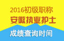 2023年安徽执业护士职称考试成绩查询