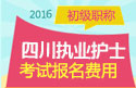 2023年四川执业护士职称考试报名费用