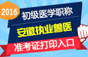 2023年安徽执业兽医职称考试准考证打印