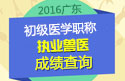 2023年广东执业兽医职称考试成绩查询