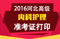 2023年河北医学高级职称（内科护理）准考证打印