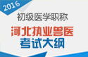 2023年河北执业兽医职称考试大纲