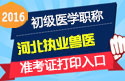 2023年河北执业兽医职称考试准考证打印
