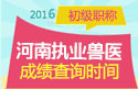 2023年河南执业兽医职称考试成绩查询