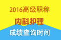 2023年上海医学高级职称（内科护理）成绩查询时间
