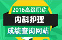 2023年上海医学高级职称（内科护理）成绩查询网站