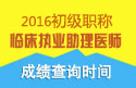 2023年四川临床执业助理医师职称考试成绩查询