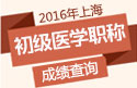 2023年上海临床执业助理医师职称考试成绩查询