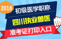 2023年四川执业兽医职称考试准考证打印