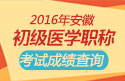 2023年安徽执业西药师职称考试成绩查询