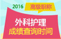 2023年北京医学高级职称（外科护理）成绩查询时间