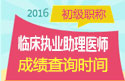 2023年山东临床执业助理医师职称考试成绩查询