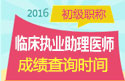 2023年河南临床执业助理医师职称考试成绩查询