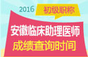 2023年安徽临床执业助理医师职称考试成绩查询