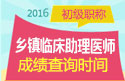 2023年山东乡镇临床执业助理医师职称考试成绩查询