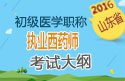 2023年山东执业西药师职称考试大纲